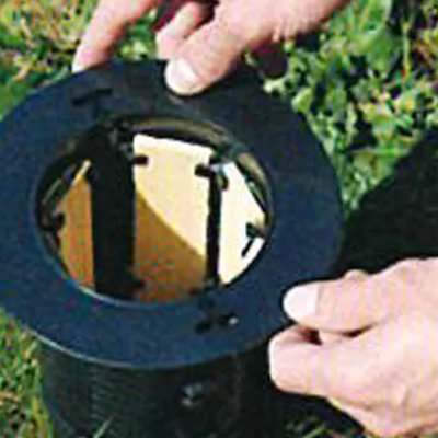 Exterra termites