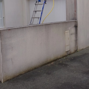 Démoussage murs