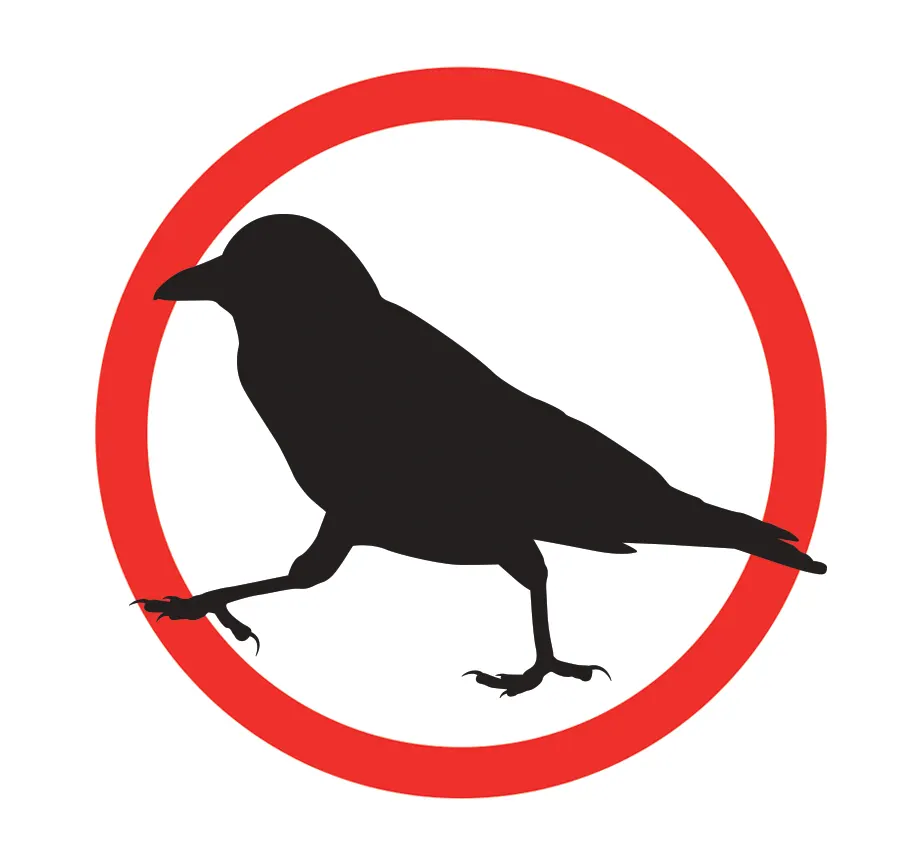Corbeau