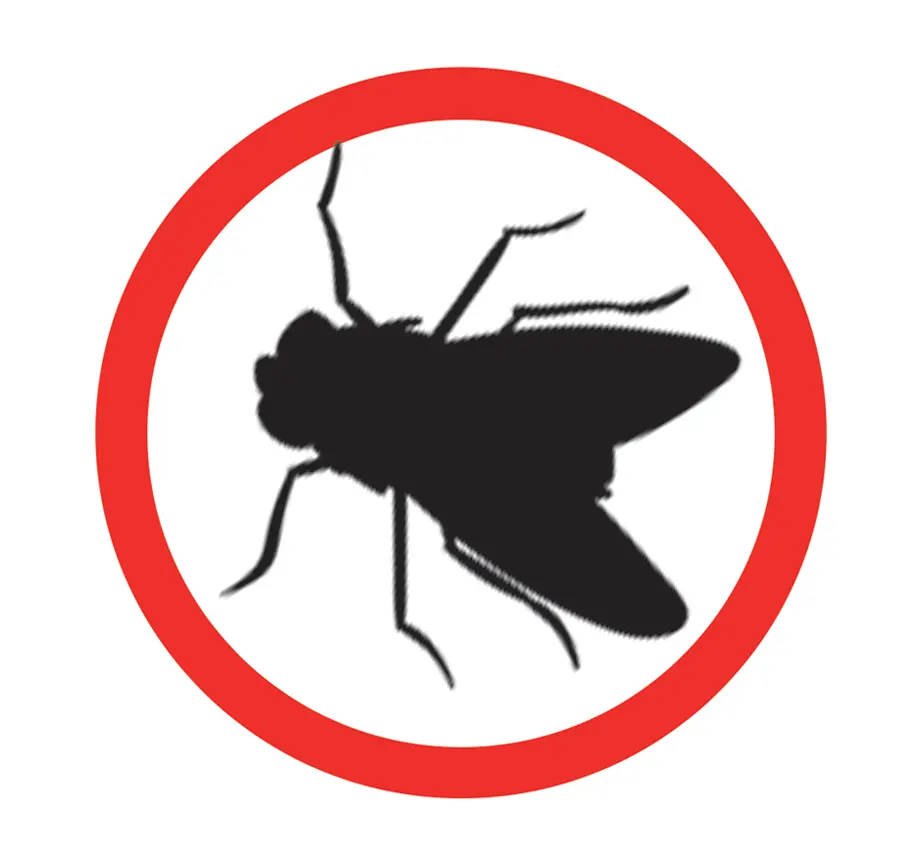 Désinsectisation contre les mouches
