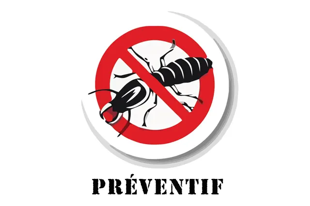 Traitement préventif termites